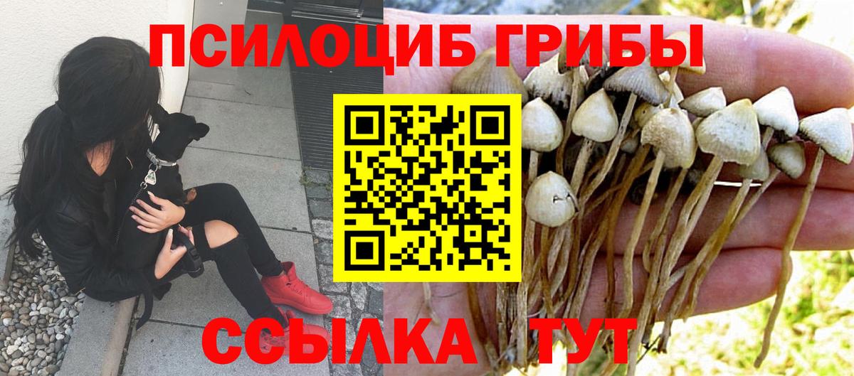 Шелехов  Галлюциногенные грибы прущие грибы  Галлюциногенные грибы мухоморы  как найти   Вход с VPN 