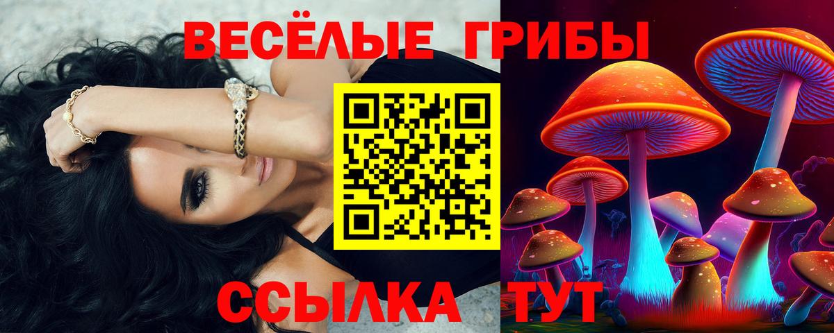 Галлюциногенные грибы прущие грибы Шелехов